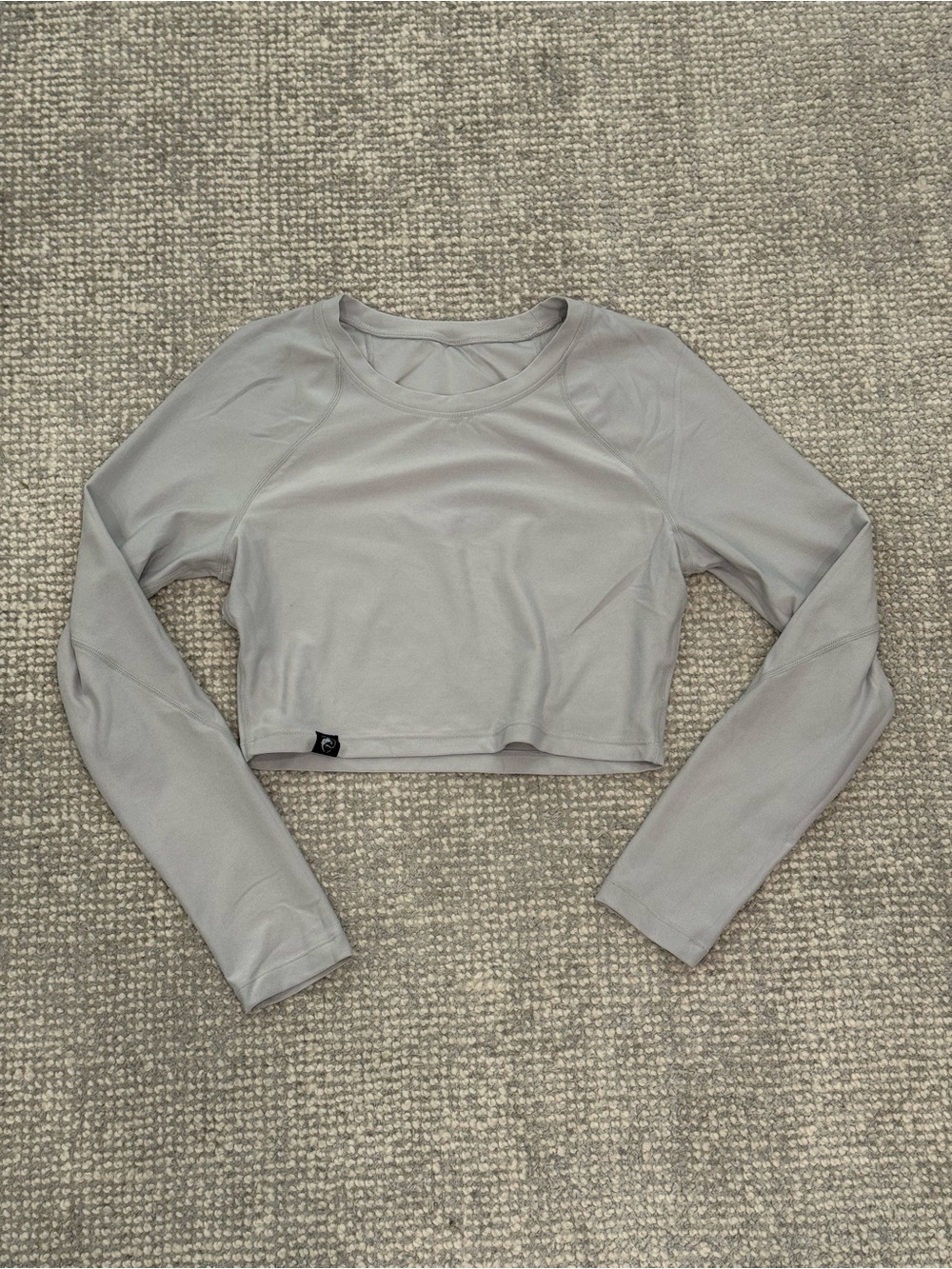 Alphalete Cropped Long Sleeve Top in Light Gray